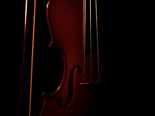 brown violin with black background