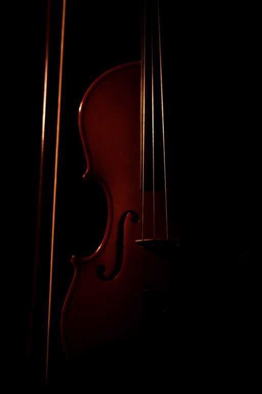 brown violin with black background