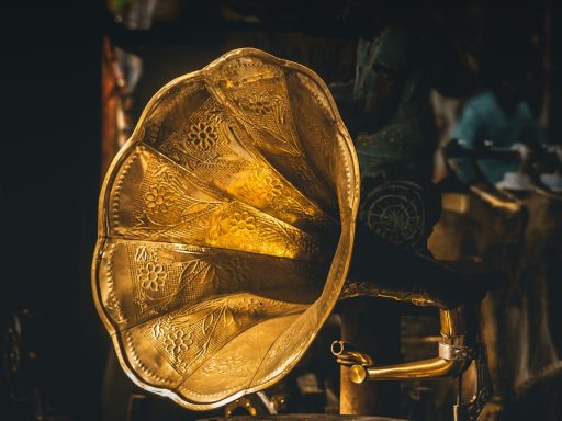 closeup photo of gramophone