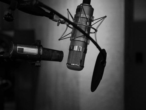 grayscale photography of condenser microphone with pop filter